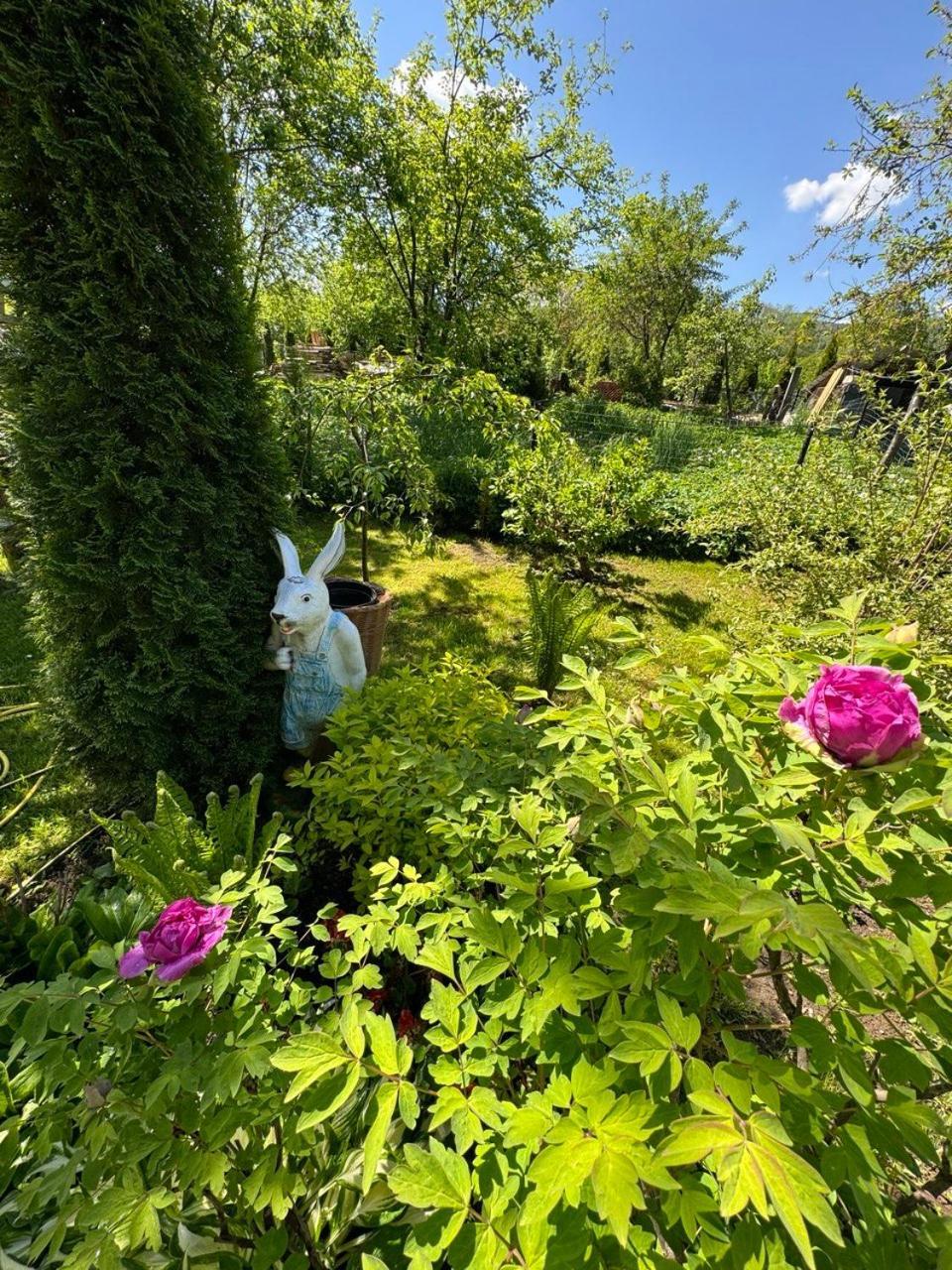 Girske Povitria 2 Villa Jaremtsje Buitenkant foto