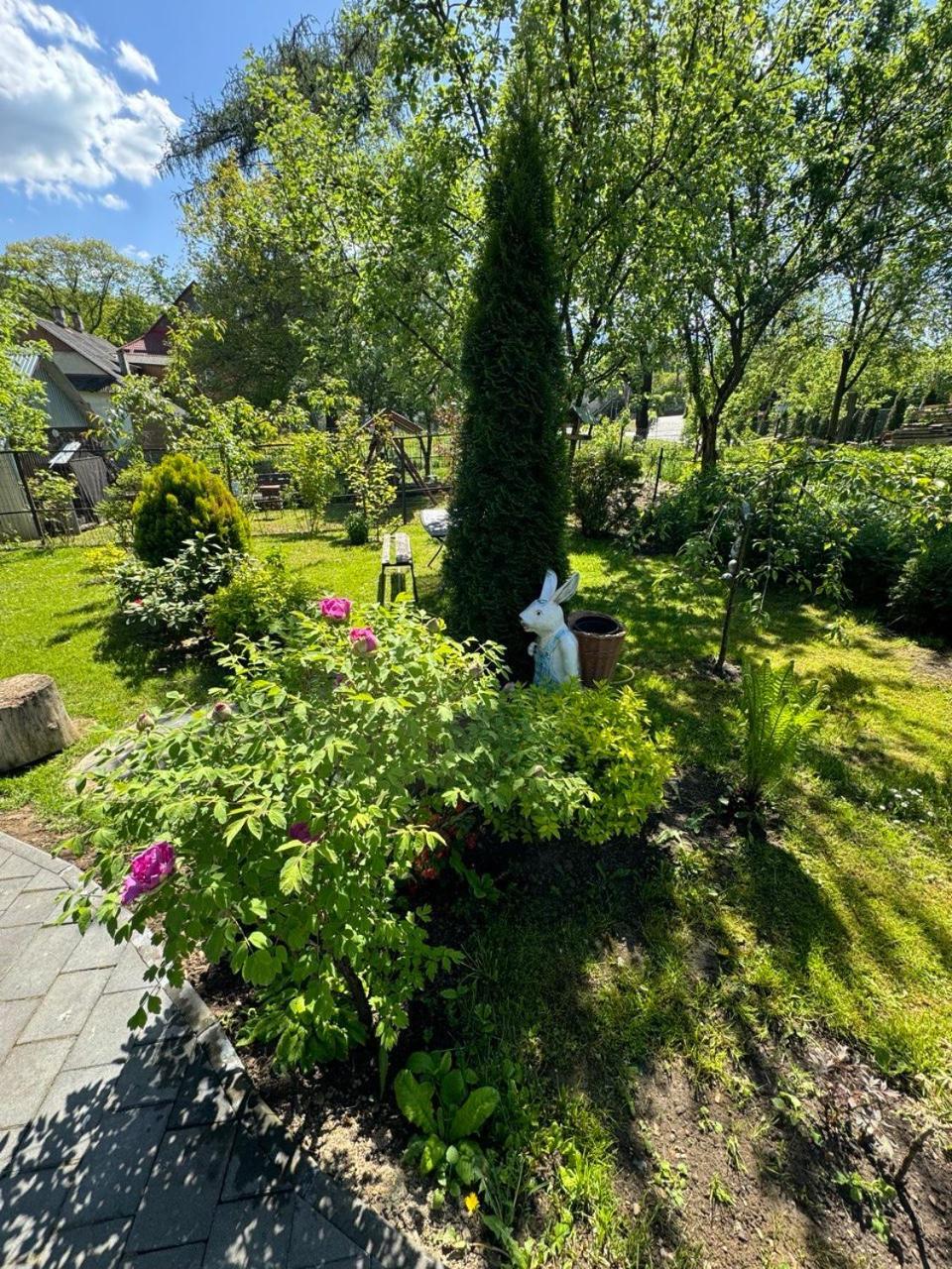 Girske Povitria 2 Villa Jaremtsje Buitenkant foto
