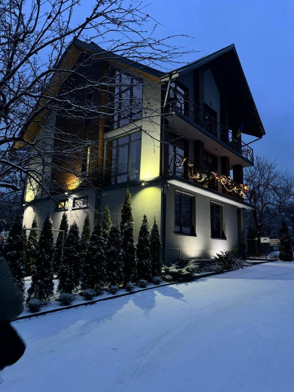 Girske Povitria 2 Villa Jaremtsje Buitenkant foto