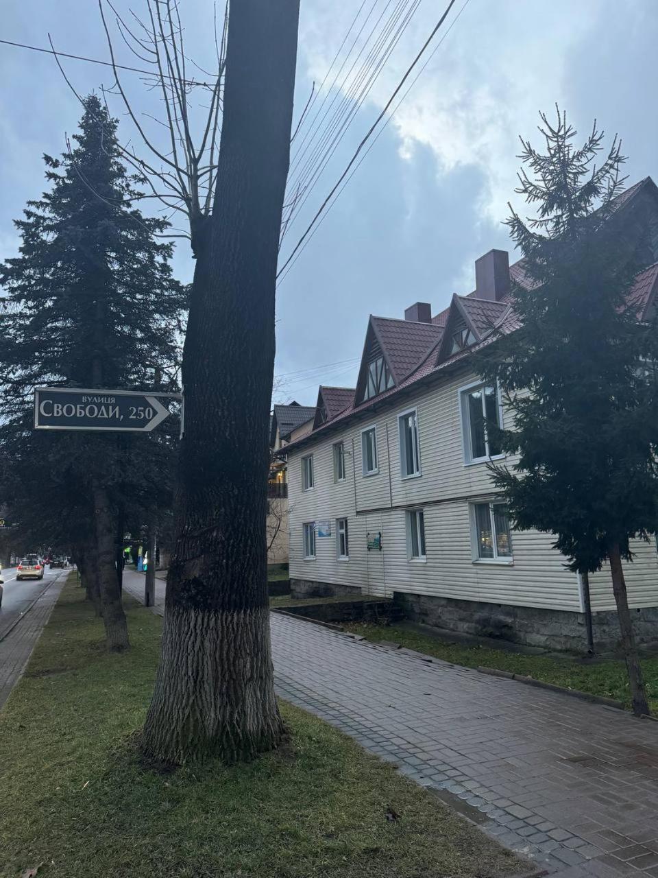 Girske Povitria 2 Villa Jaremtsje Buitenkant foto