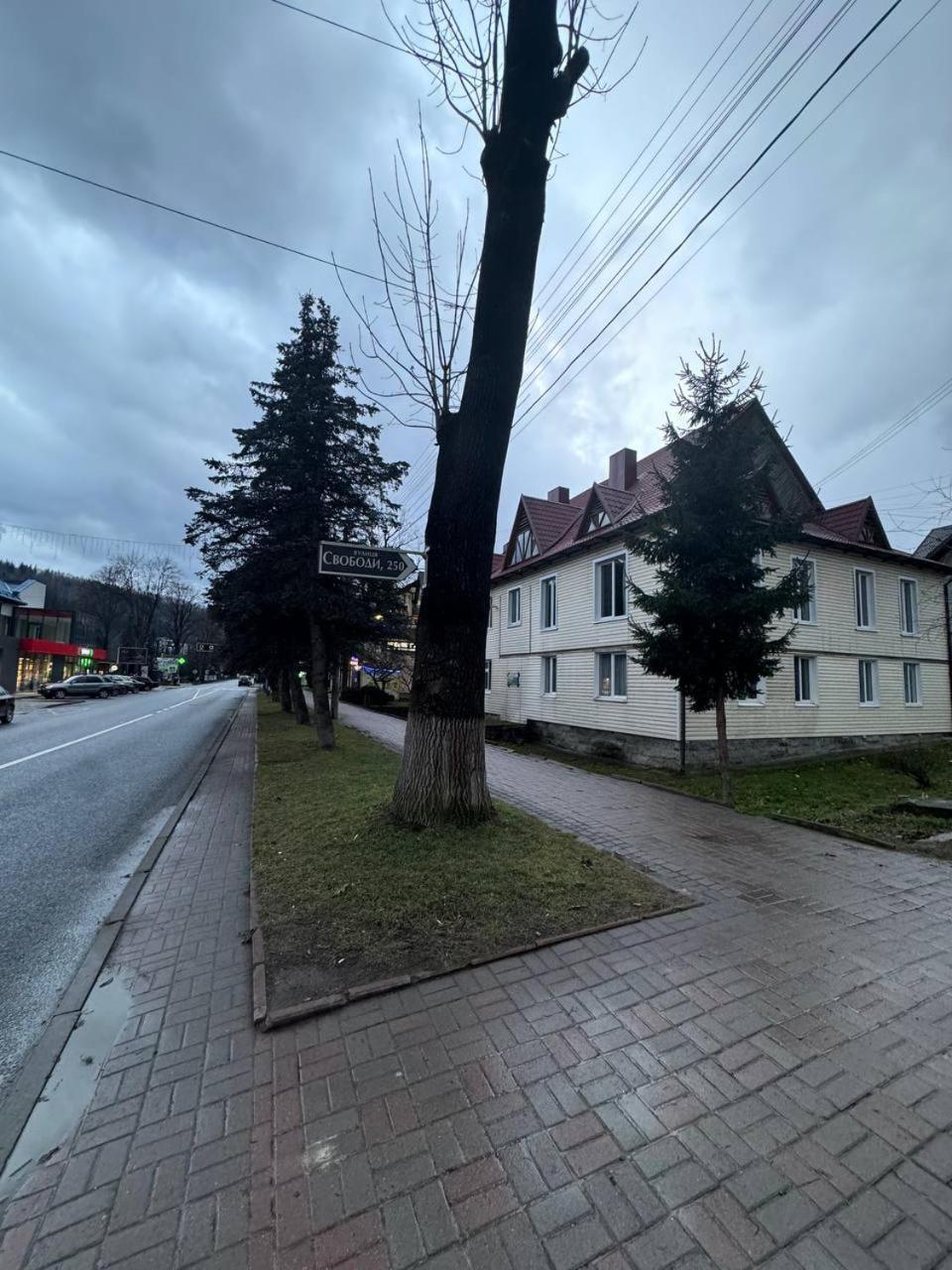 Girske Povitria 2 Villa Jaremtsje Buitenkant foto